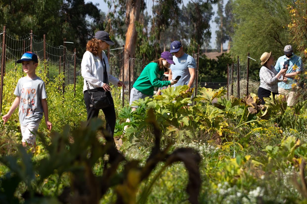 Apricot Lane Farms in Moorpark is among the participants in the 11th annual Ventura County Farm Day.