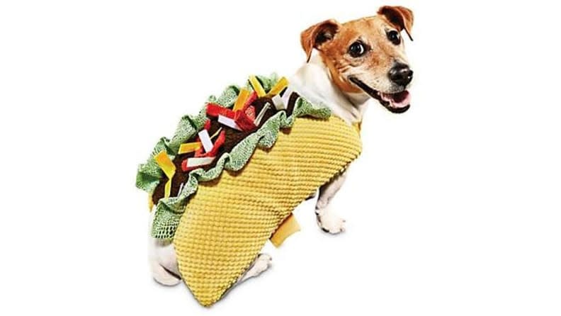 A cute dog dressed as your fave fast food? Resistance is futile.