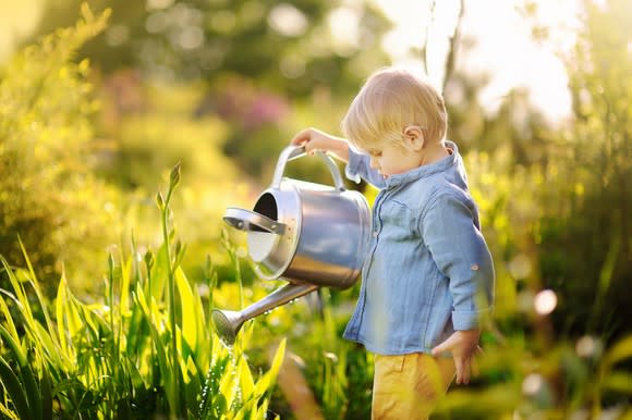 A toddler watering a garden.