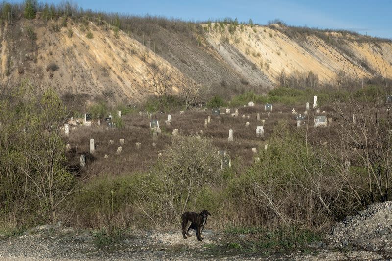 The Wider Image: In Serbian village, women fight to escape encroaching mine