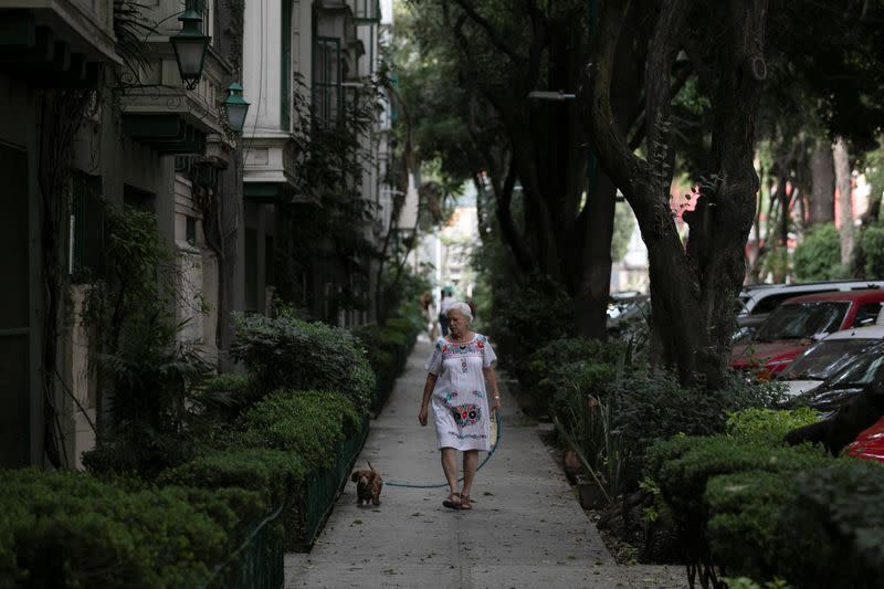 An elderly woman walks with a dog on the street after Mexico's government declared a health emergency on Monday and issued stricter rules aimed at containing the fast-spreading coronavirus disease (COVID-19), in Mexico City