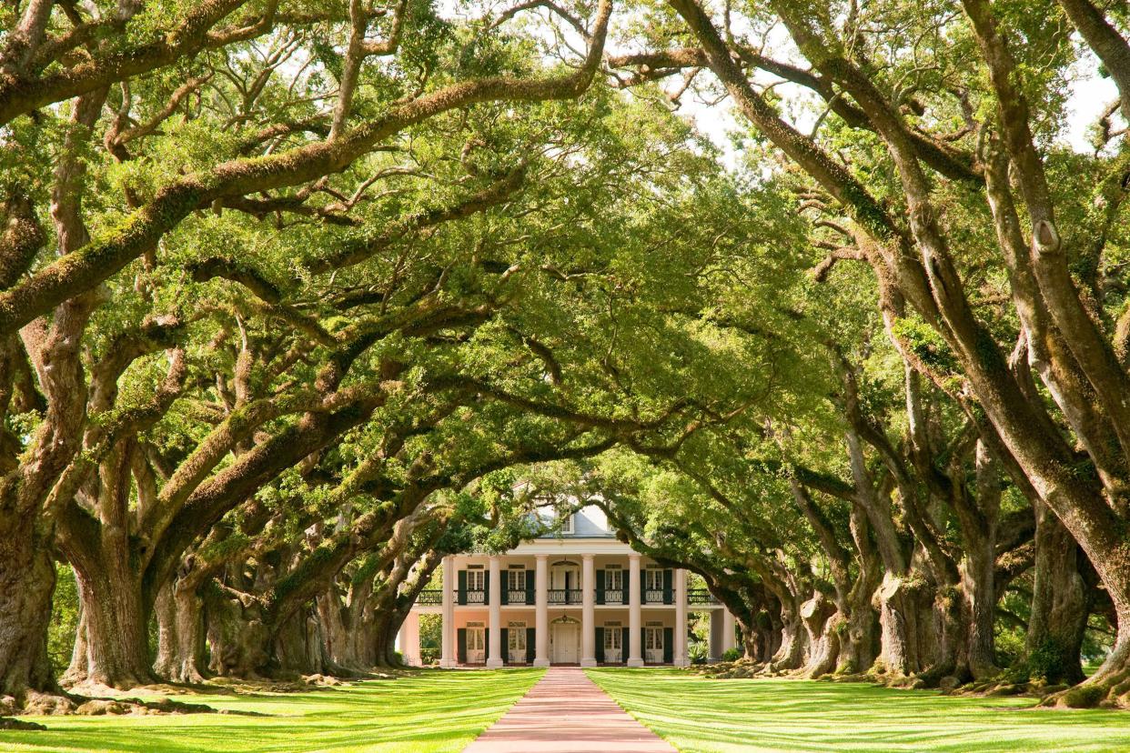 Oak Alley Plantation Restaurant & Inn in Vacherie, Louisiana