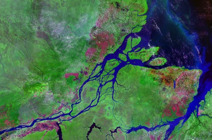 Desembocadora del Río Amazonas | NASA Earth Observatory