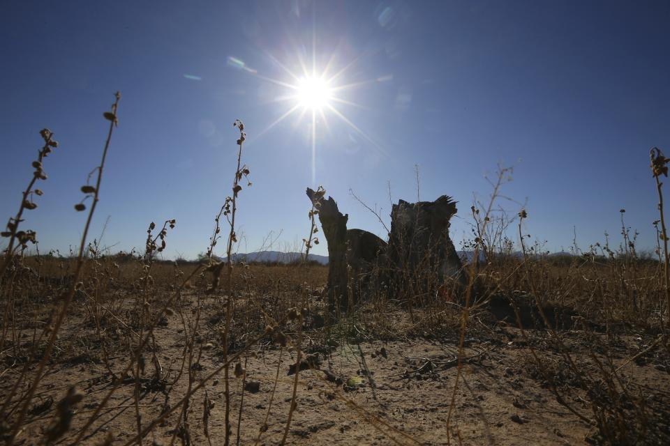 The parched landscape has gotten very little moisture from this monsoon season Monday, Sept. 30, 2019, in Phoenix. The monsoon season runs from mid-June through the end of September, characterized by a shift in wind patterns and moisture being pulled in from the tropical coast of Mexico, but this monsoon season was Phoenix's fifth driest recorded. (AP Photo/Ross D. Franklin)