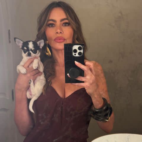 <p>Sofia Vergara/Instagram</p>