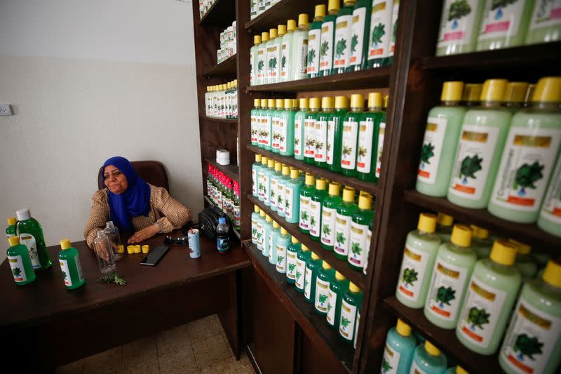 Gazans extract essential oils from aromatic herbs to make cosmetics