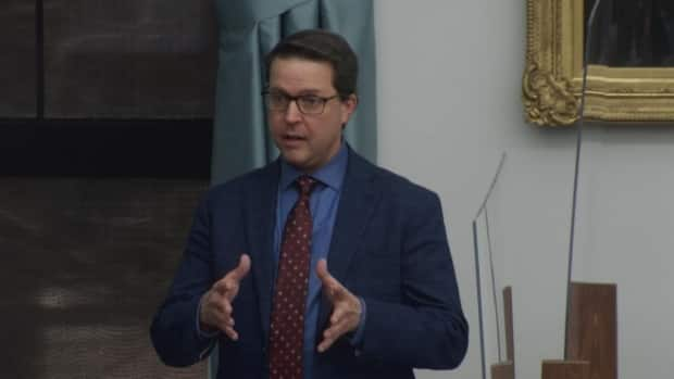 Minister of Social Development and Housing Brad Trivers said his constituents are against lowering the voting age, so he had to vote against the bill.