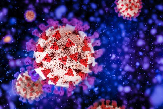 Coronavirus new strain - Credit: Olga Siletskaya/Getty iStock/Getty Images