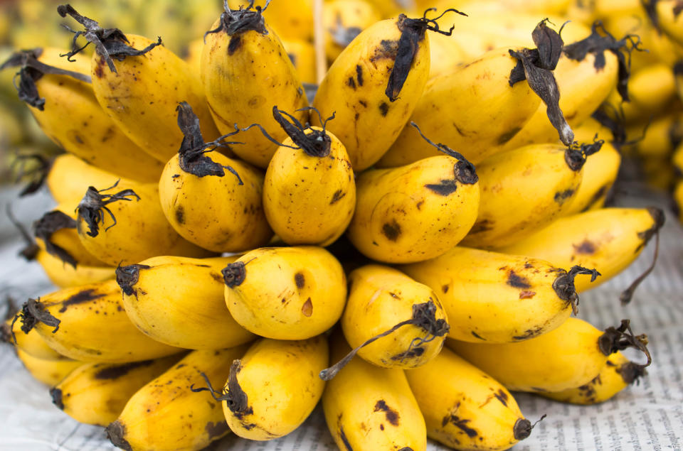 A type of Madagascan banana named <em>Ensete perrieri</em> could be the key to saving bananas. (Photo: Getty Images)