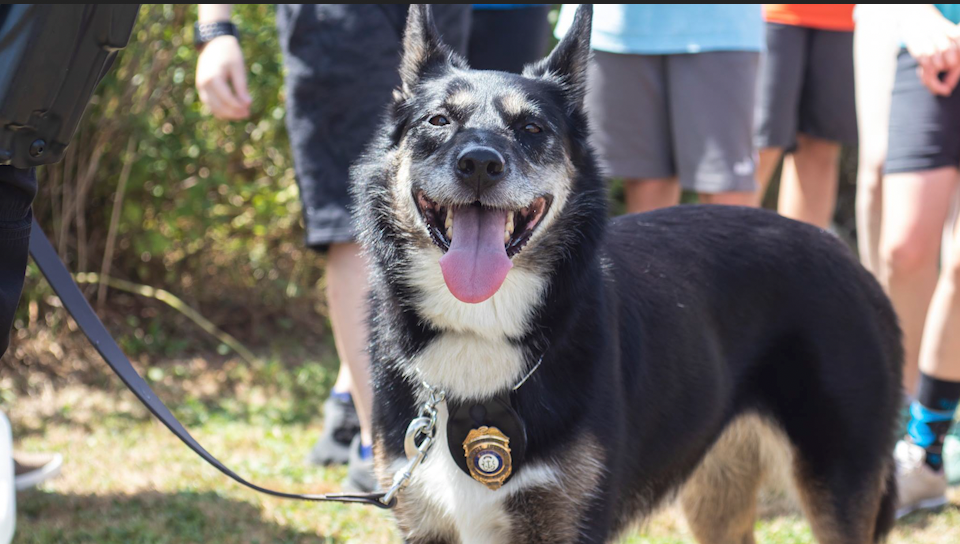 After Ruby saved the boy's life, his mother, Pat Inman, realized they had serendipitous connection. Inman knew Ruby when she was at the animal shelter years earlier.  / Credit: Rhode Island State Police