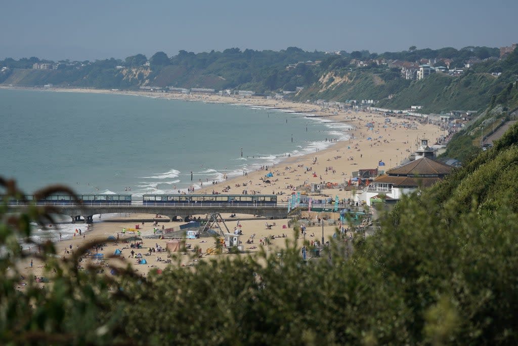 The alleged attack took place on a Sunday afternoon in the sea at Bournemouth beach  (PA)