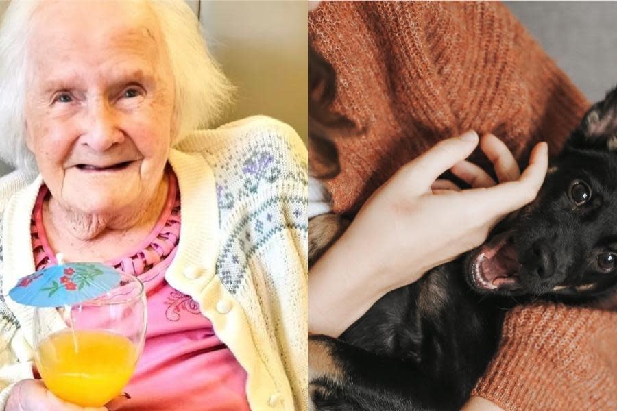 Mujer de 108 años revela el secreto para tener una vida larga: “Tener perros, no hijos”