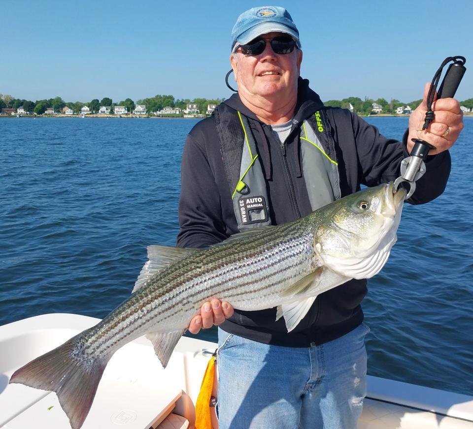 Bob Donald of North Kingstown caught this bass trolling tube and worm north of Conimicut Light.