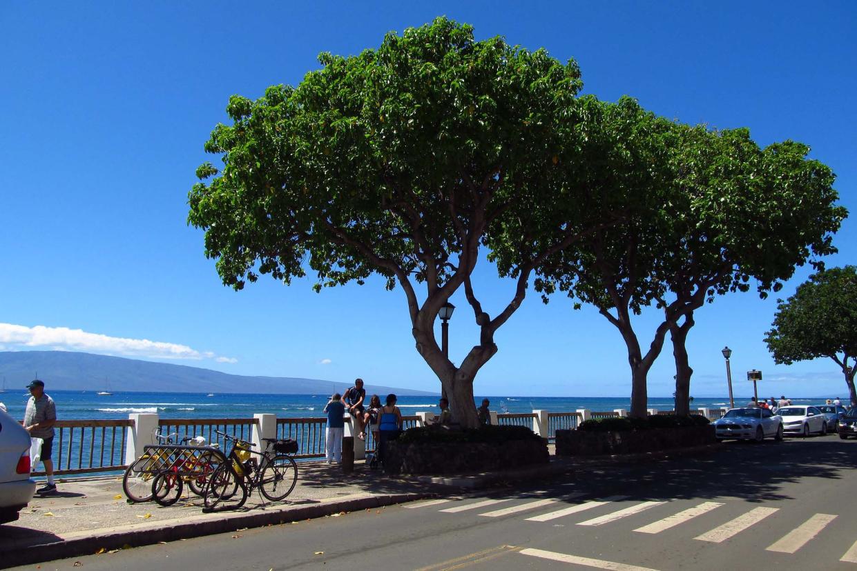 Lahaina, Hawaii