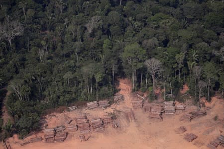 An aerial view of logs illegally cut from Amazon rainforest are seen in sawmills near Humaita