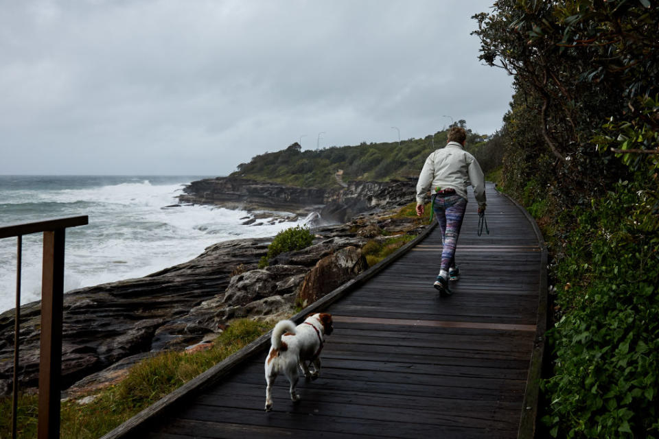 A woman walks her dog in strong winds and raining conditions at South Curl Curl Beach in Sydney, Australia. 