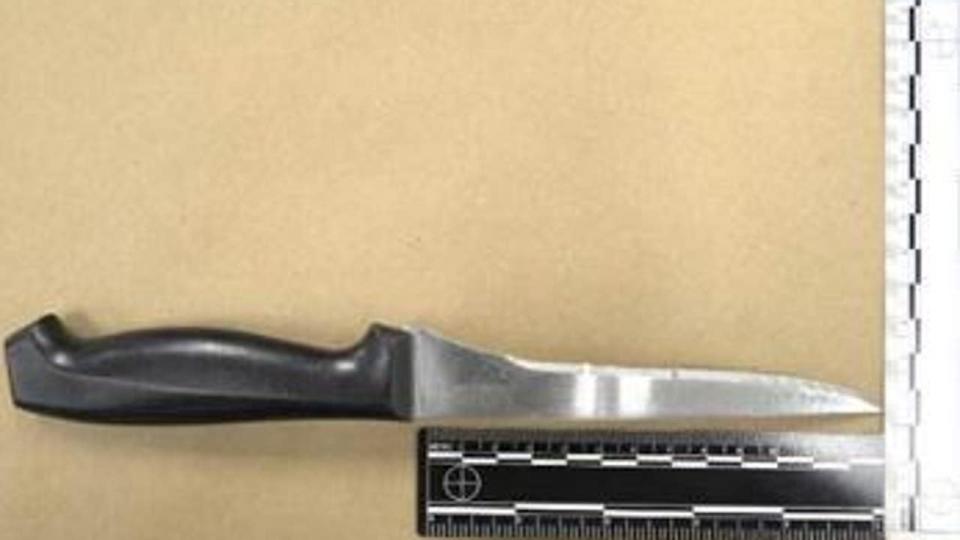 <div>Photo of knife via Flagler County Sheriff's Office</div>