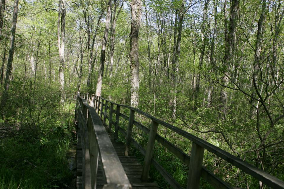 The George B. Parker Woodland Wildlife Refuge in Coventry is a good place to find thrushes, warblers and woodpeckers of all sorts, according to Audubon staff.