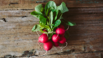 <p> Radishes may not be part of your usual cooking repertoire, but the humble vegetable is a hydration powerhouse - standing at an impressive 95 per cent water - making it a no-brainer to add to salads and roasts. What's more, there's <a href="https://www.ncbi.nlm.nih.gov/pmc/articles/PMC6412475/" rel="nofollow noopener" target="_blank" data-ylk="slk:evidence;elm:context_link;itc:0;sec:content-canvas" class="link ">evidence</a> that bioactive compounds it contains may have disease-fighting properties. </p>