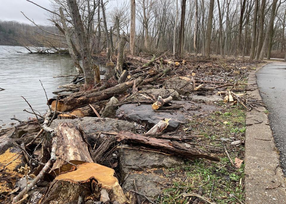 Dead and dying trees were taken down in March 2023 for safety reasons along the Multi-Purpose Trail, at right, between the entrance to Presque Isle State Park and its Vista 1 parking lot. At left is Presque Isle Bay.