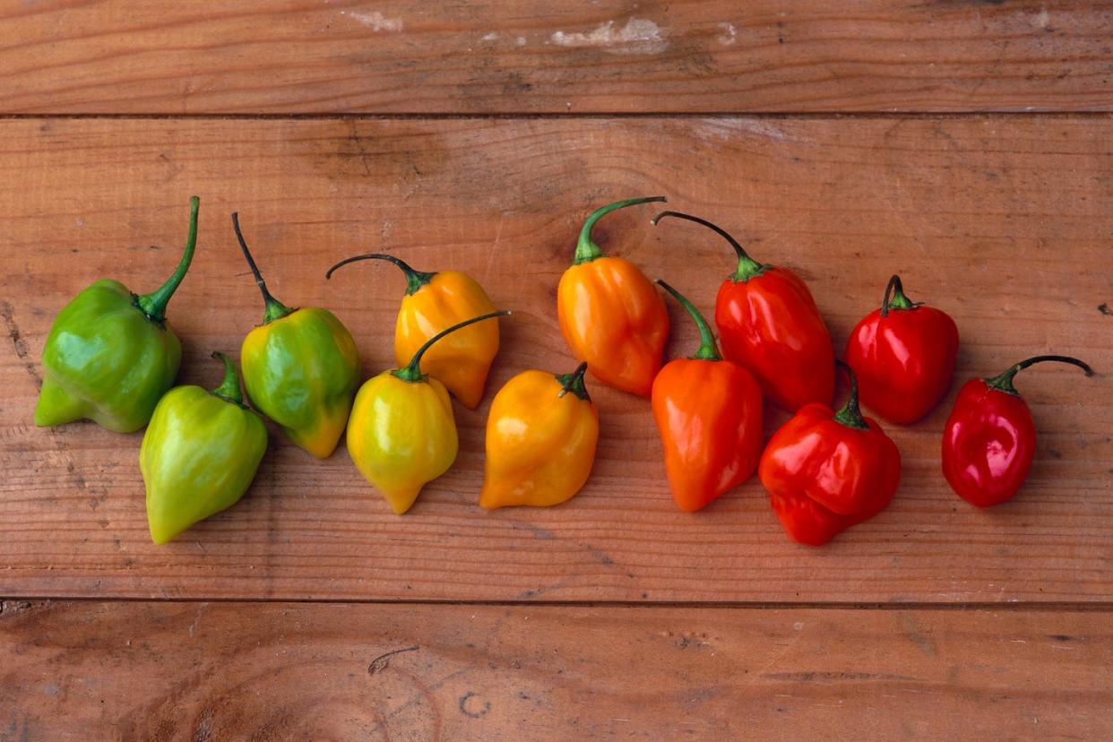 vegetables that are actually fruit peppers