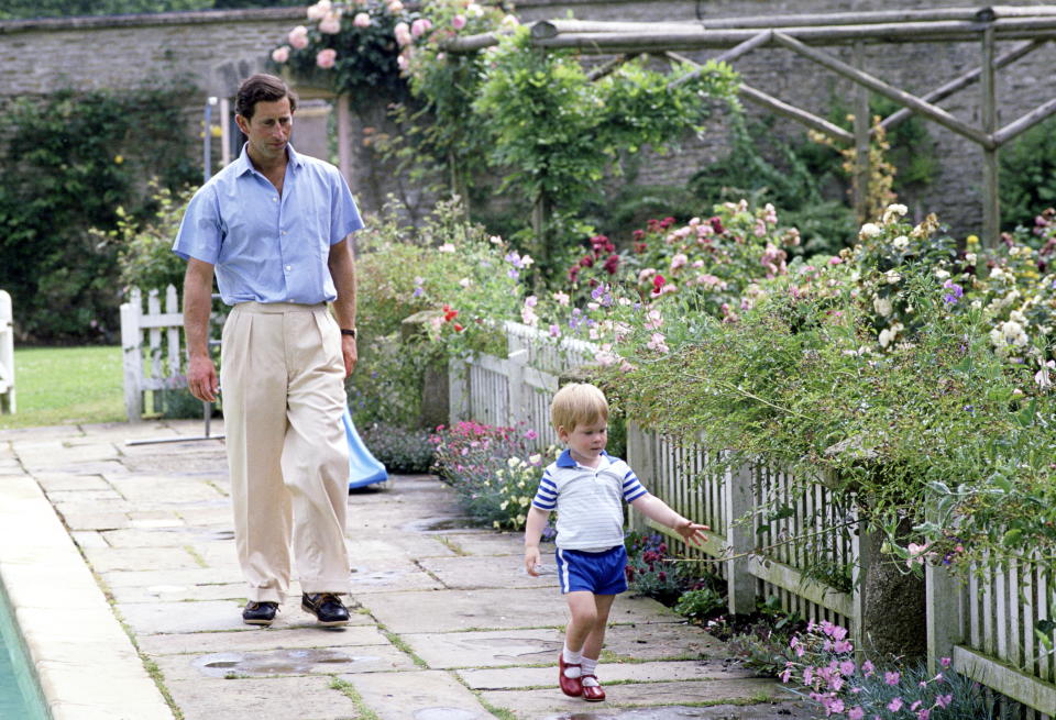 Prince Charles and Prince Harry at Highgrove House. - Credit: Tim Graham Photo Library via Get