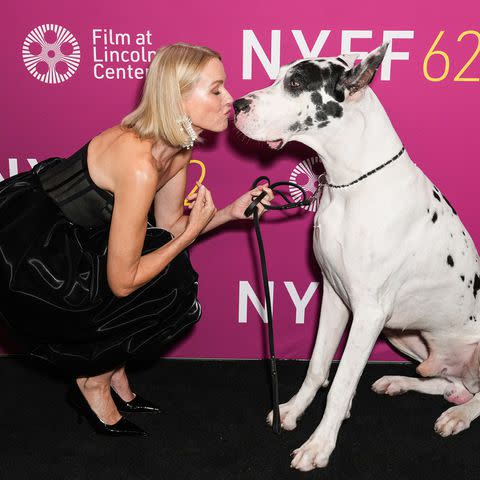 <p>John Nacion/Variety via Getty</p> Naomi Watts.