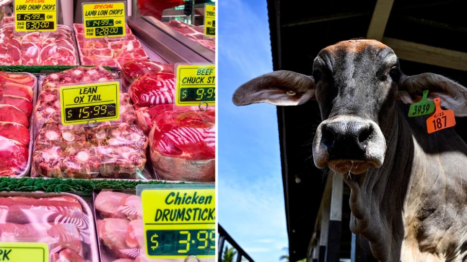 Meat in supermarket and cow with foot and mouth disease