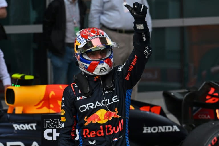 Max Verstappen celebrates pole position at the Chinese Grand Prix (HECTOR RETAMAL)