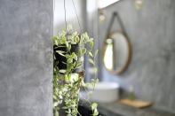 <p><strong>Bathroom plants are now considered an essential bathroom accessory. Why? While it's more than just an Instagram trend, a<strong>esthetically</strong><strong> speaking, there's nothing more stylish than </strong></strong><strong>luscious green plants either placed on a shelf or stool by the bathtub or hanging from a shower.</strong></p><p>Bathrooms are actually great for certain <a href="https://www.housebeautiful.com/uk/garden/plants/a32042130/buy-plants-online/" rel="nofollow noopener" target="_blank" data-ylk="slk:plants;elm:context_link;itc:0;sec:content-canvas" class="link ">plants</a> to thrive in thanks to its warm and humid atmosphere. From Aloe Vera to Boston Fern, there are plenty of bathroom plants that will elevate your space and keep it bright and cheery.</p><p>'With just a few additions, your bathroom can be transformed into a rainforest-inspired haven of calm, with your houseplants working hard to keep your bathroom steam and bacteria free,' say the experts at online bathroom specialist, <a href="https://www.victorianplumbing.co.uk/" rel="nofollow noopener" target="_blank" data-ylk="slk:Victorian Plumbing;elm:context_link;itc:0;sec:content-canvas" class="link ">Victorian Plumbing</a>. </p><p>While trailing plants such as Ivy and Heartleaf Philodendron would look great on ledges, you could also place bathroom plants on a ladder shelf and hang them with some ‘S’ shaped hooks.</p><p>And don't forget to pick your plant pots carefully. They should be made from a porous material like terracotta and have a few drainage holes at the bottom. If your plant pot has a solid bottom, ensure it is placed in a pot with drainage holes first, then place on top of a dish or saucer inside the main pot. </p><p>Take a look at the best bathroom plants to consider buying below...</p>