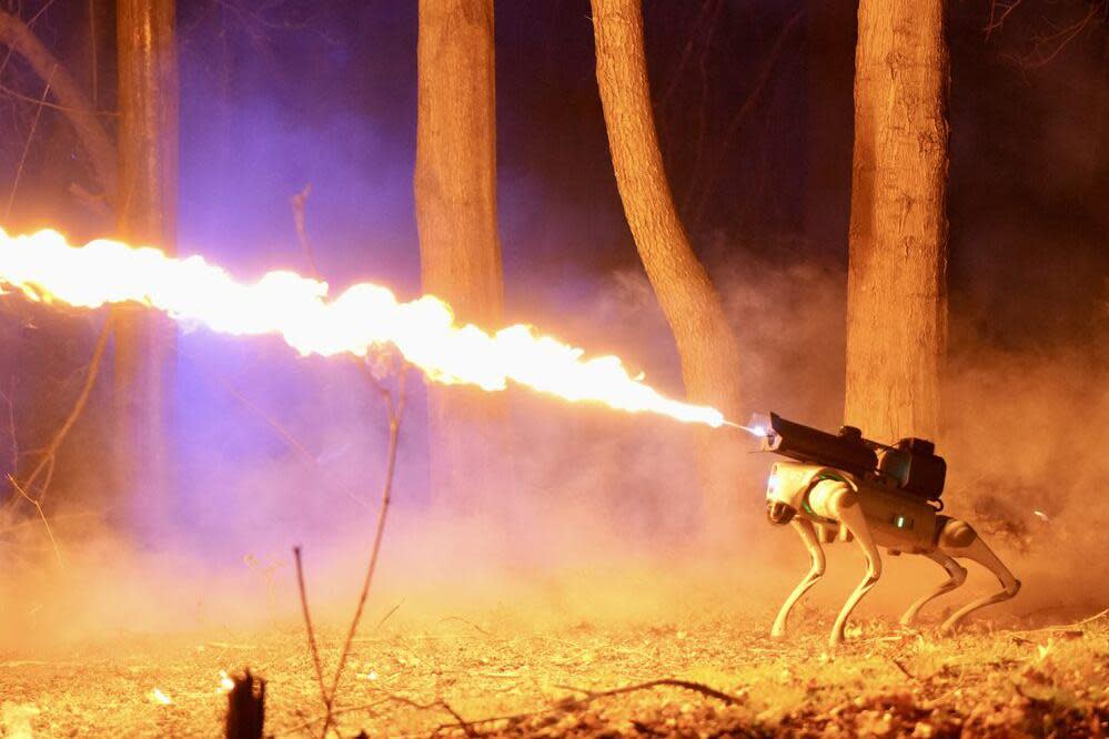 <span>The Thermonator, a robot dog equipped with a flamethrower, spits fire.</span><span>Photograph: Throwflame</span>