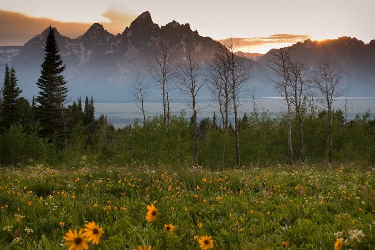 Sunset over Grand Tetons from Shadow Mountain