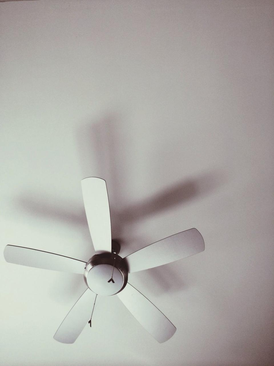 Dust Your Ceiling Fans