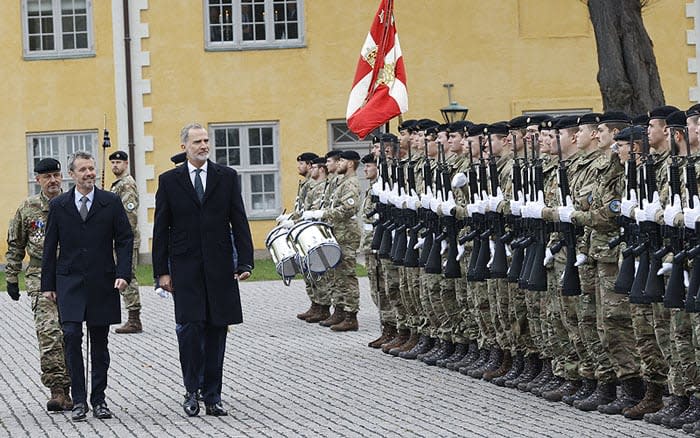 Felipe VI y Federico de Dinamarca 