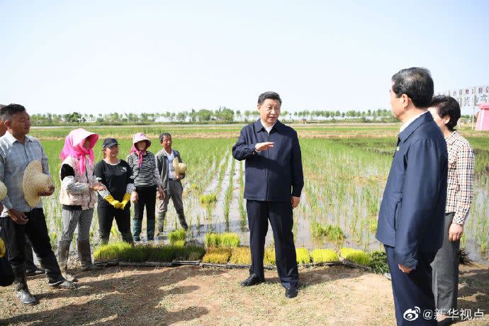 中國領導人習近平視察農家耕種情形   圖:擷取自臉書