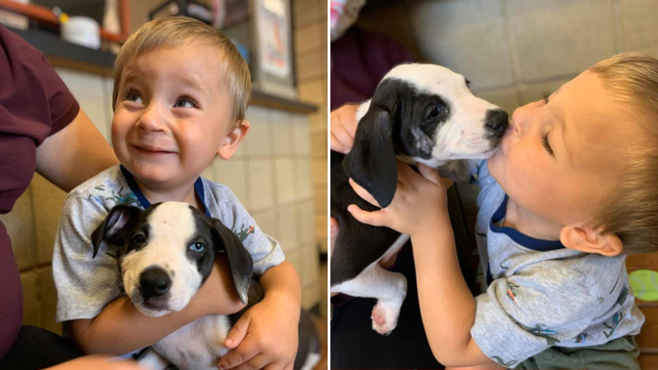 Bentley Boyers  with a cleft lip adopts a dog with a cleft lip