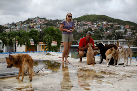 Sandra Harasimowicz and her husband Gary Rosario pose for a photo next to their dogs, on the roof of a neighbor's house, after the area was hit by Hurricane Maria in Yauco, Puerto Rico September 25, 2017. REUTERS/Carlos Garcia Rawlins