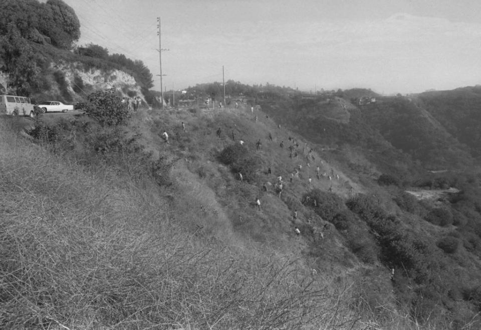 <p>Police comb the Hollywood hillside searching for clues in the Sharon Tate murder case at the hands of the notorious <a href="https://www.cosmopolitan.com/entertainment/movies/a28467204/charles-manson-sharon-tate-true-story/" rel="nofollow noopener" target="_blank" data-ylk="slk:Manson clan;elm:context_link;itc:0;sec:content-canvas" class="link ">Manson clan</a>. The Manson family cult terrorized the Hollywood community in the summer of '69.</p>