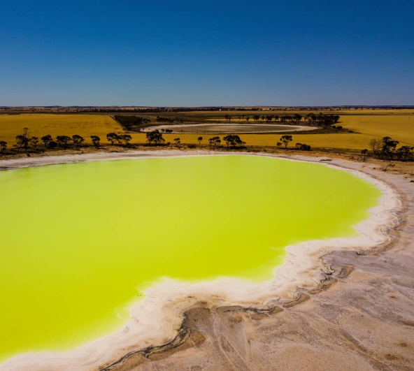 Pictured is the incredible yellow tones of Statues Lake in Kondinin Shire – almost 200kms east of Perth, Western Australia.