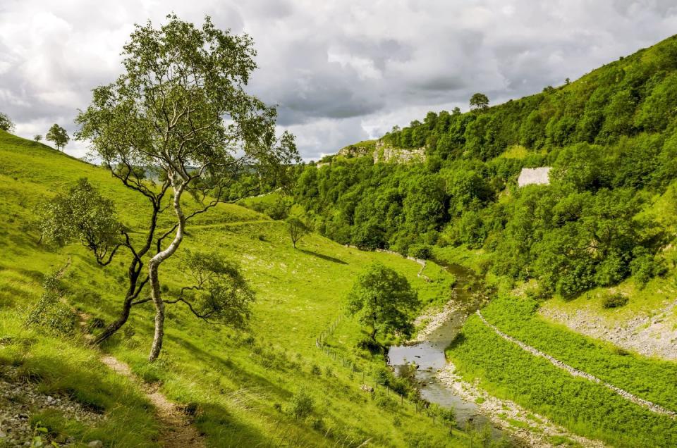 2) Cumbria (Smardale Gill)