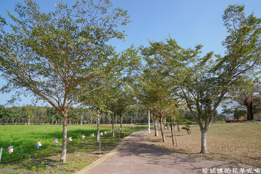 屏東新埤鄉綜合休閒公園｜向日葵花海