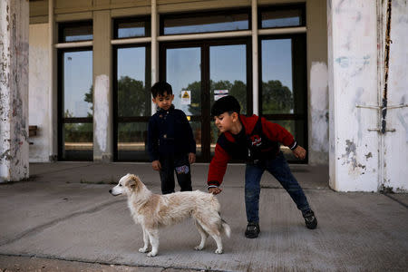 Syrian refugee children from Afrin, who crossed the Evros river, the natural border between Greece and Turkey, play with a dog at the train station of the city of Orestiada, Greece, April 30, 2018. REUTERS/Alkis Konstantinidis