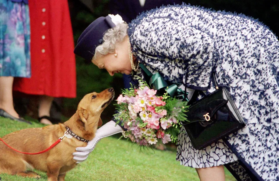 The Queen encountered an old acquaintance during a visit to the Roman site of Vindolanda near Hadrian's Wall in Northumberland, a corgi bred by the Queen and now owned by Lady Beaumont who lives in the area. 20/7/99: Matthew King lost his job as one of the Queen's two personal foootmen after getting some of the Queen's corgis drunk as a party trick. See PA Story ROYAL Queen. PA Photos (Pool Photo)