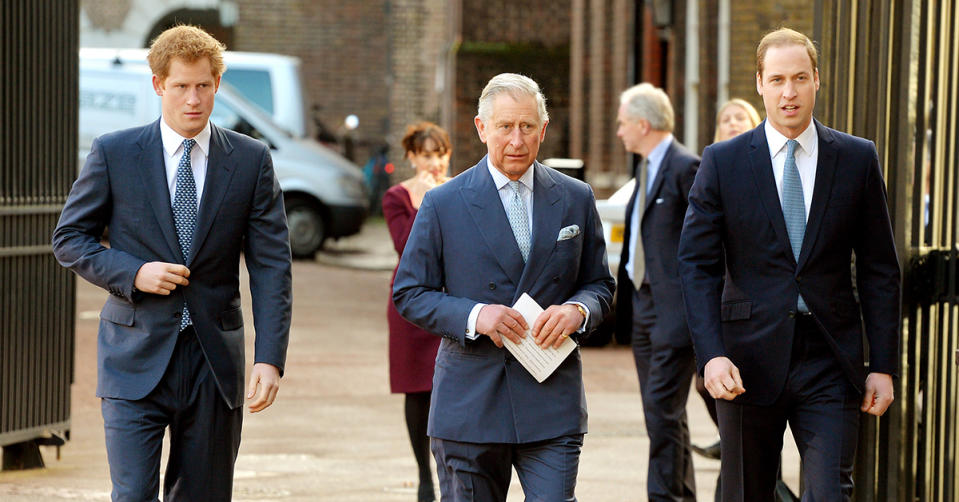 Prince Harry, King Charles and Prince William