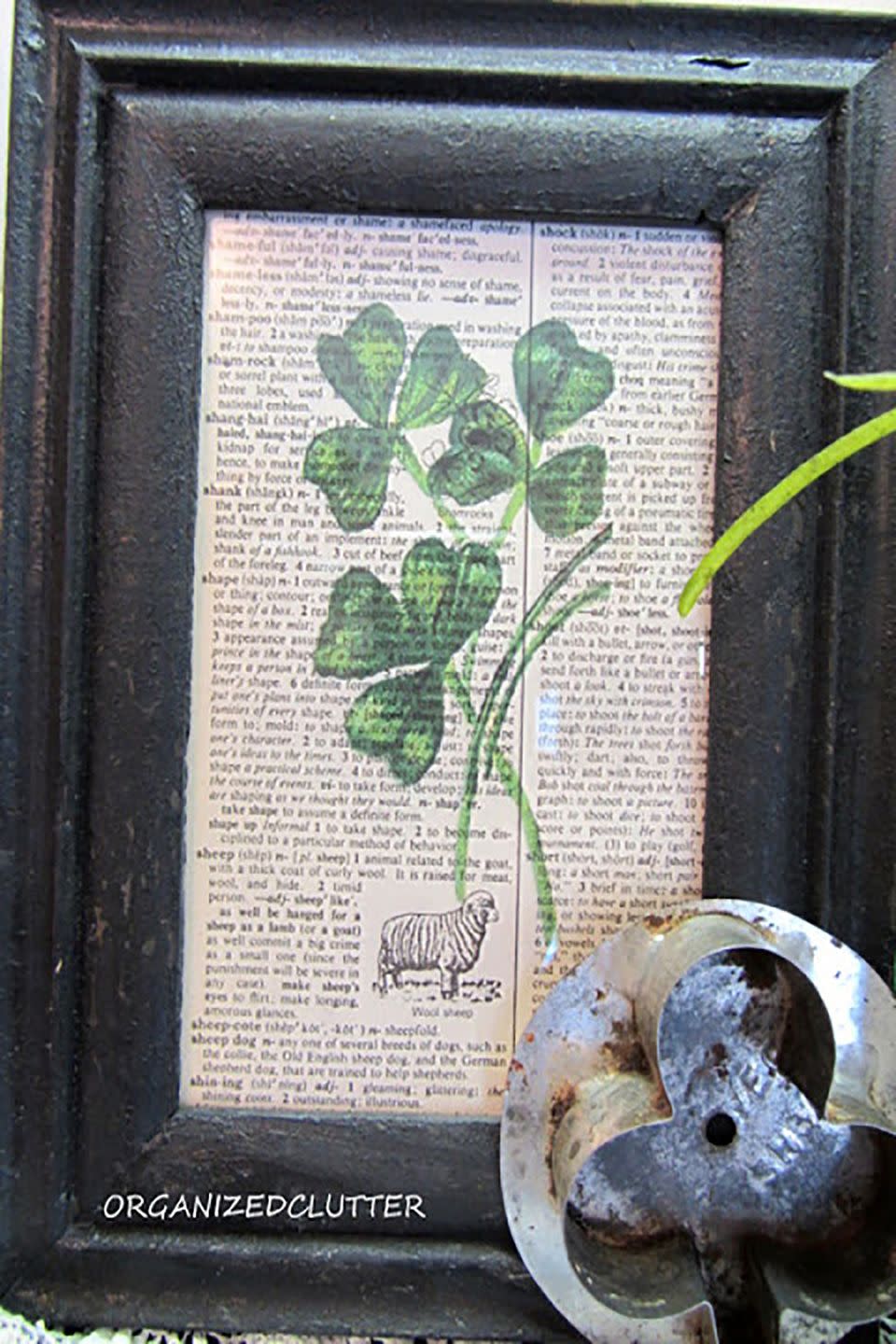 Framed Shamrock Print