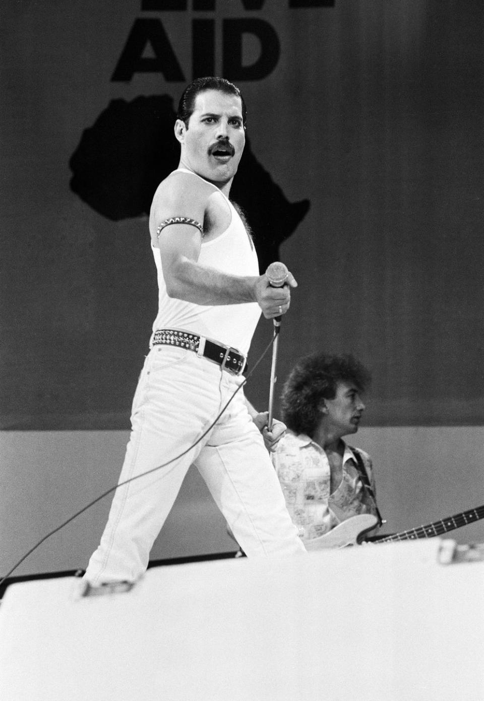 freddie mercury