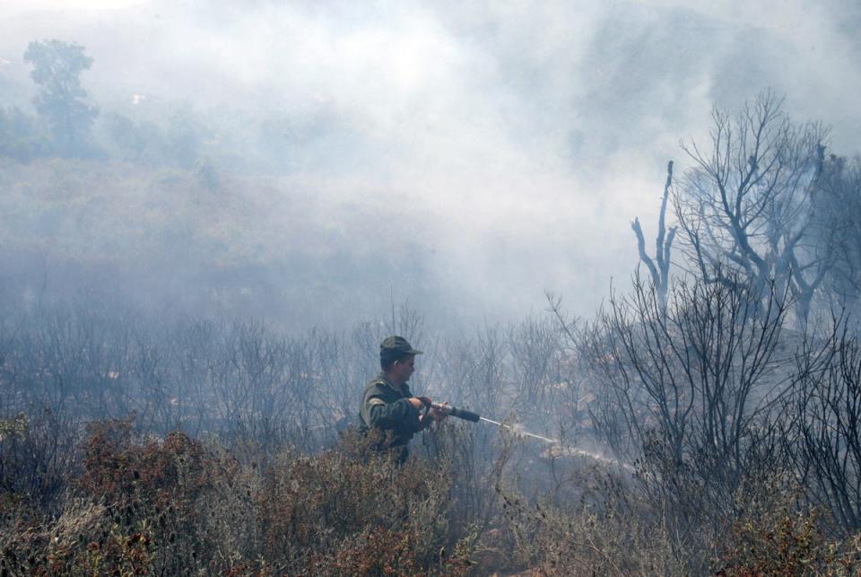 A forest ranger works to douse hotspots in an area hit by a wildfire, in Adekar (REUTERS)