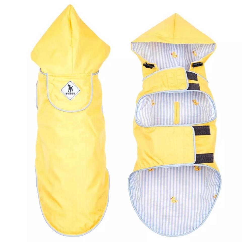 A yellow dog rain coat