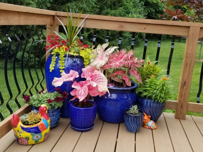 A grouping of containers can liven up any deck or patio space.