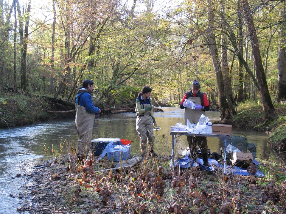 Oak Ridge National Laboratory researchers collect water samples to monitor mercury levels in East Fork Poplar Creek.